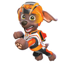 The paw patrol are on a roll in their rescue vehicles! Zuma Paw Patrol Wiki Fandom