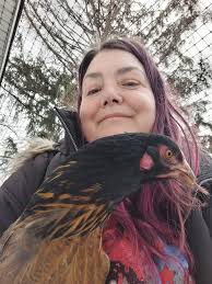 Eye injury in new chickens