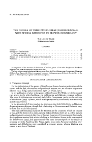 Image result for Schlechterina mitostemmatoides