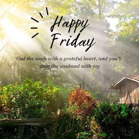 Good morning & happy Friday! I'm grateful for today, and looking forward to  a great weekend! #happyfriday #weekendvibes #fridaymood #fridayvibes