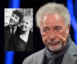 Embroidery repair for cat damaged couch