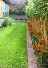 Paul Doyle Garden Designer St Mary S Garden Design Garden Backyard