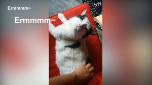 Oh my zsh will not make you a 10x developer.but you may feel like one! Download Oh My Jep Mp4 3gp Naijagreenmovies Netnaija Fzmovies