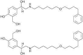 Image result for Salmeterol