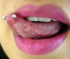 Pin By Jesseka Hollenbeck On Tattoos And Piercings 2 Snake Eyes Piercing Eye Piercing Tongue Piercing