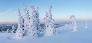 Filer sur les rivières glacées. Cap Sur La Laponie Le Grand Nord Finlandais Madame Figaro