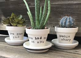 Funny 3 Succulent Flower Pot By Aki Company On Etsy Succulents Punny Plant Plant Pun Funny Gift For Friend Housewarming Succulent Pots Plant Puns Plants