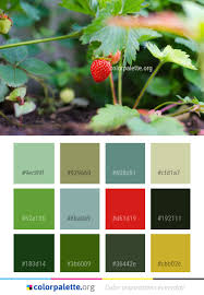 Strawberries Strawberry Plant Color Palette Colors Inspiration Graphics Design Inspiration Beautiful Colorpalette Strawberry Plants Color Palette Color