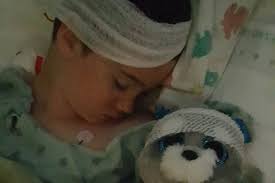 Fundraiser for Kathy Poteet by Heidi Marini : Help Drake Beat Brain Cancer