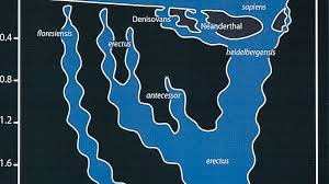 Denisovan remains were discovered in 2008 and human evolution experts have become fascinated with the group that went extinct around 50,000 years ago. The Cave Where It Happened The Daughter Of A Neanderthal Mom And A Denisovan Dad Dna Science