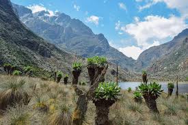 A complete guide to climbing rwenzori mountains, when to go and climb, the tourist activities around the mountains, where to stay during after your trek, the climbing routes as well as tour operators specialized in mountaineering in uganda. 548 Rwenzori Mountains Photos Free Royalty Free Stock Photos From Dreamstime