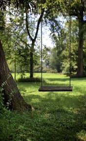 Pin On Dreamy Yard