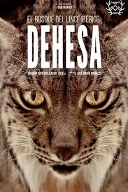 I'm the king of the silent pictures. Dehesa El Bosque Del Lince Iberico Spanish Movie Streaming Online Watch