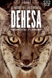 El uso inadecuado puede causar riesgo o lesiones. Dehesa El Bosque Del Lince Iberico Spanish Movie Streaming Online Watch