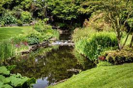 Uk Gardeners Urged To Bring Back The Garden Pond However Big Or Small Natural Pond Backyard Design Garden Pond