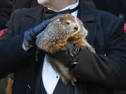 The earliest mention of groundhog day is an entry on february 2, 1840, in the diary of james l. Groundhog Day 2019 Punxsutawney Phil Predicts An Early Spring Npr