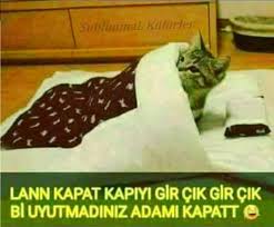Lann Kapat Kapiyi Gir Cik Gir Cik Bi Uyutmadiniz Adami Kapatt Komik Ozlu Sozler