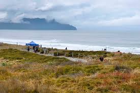 11,328 likes · 269 talking about this. Xrr1zchtgbpxum