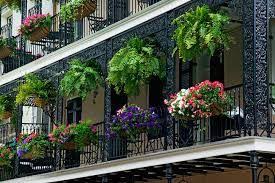 Conocé todas nuestras plantas de tamaño mediano, para interior o para exterior, acompañadas de macetas de diseño. Helechos Colgantes Balcon Buscar Con Google Balcones Con Plantas Plantas Colgantes Jardineras Colgantes