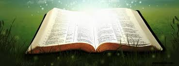 Image result for images facebook and the bible