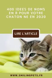 noms de chat en r en 2020 noms de chat chat femelle chat