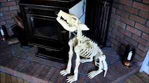 Our wickedly detailed skeleton dogs are begging to stay at your house. Skeleton Dog Halloween Decoration Youtube