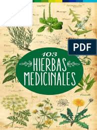 1_el leon, la bruja y el ropero.pdf. Hierbas Medicinales Camino De La Bruja Verde Holismo Plantas Medicinales Prueba Gratuita De 30 Dias Scribd Hierbas Hierbas Curativas Hierba Medicinal