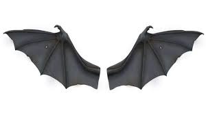 It is thinner than typical mammalian skin and contains organized bundles of elastin and embedded skeletal muscles. What Would Humans Wings Need To Be Like To Fly Worldbuilding Stack Exchange