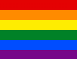 Agregar la bandera del orgullo en las embajadas de estados unidos fue un tema que generó tales medidas podrían alimentar una reacción contra las propias comunidades lgbtq locales, de acuerdo. Bandera Gay Verde Novocom Top