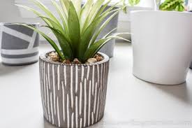 Taller plants like laura and aggy add a bit of height; Easy Diy Indoor Plant Pots Jessica Welling Interiors