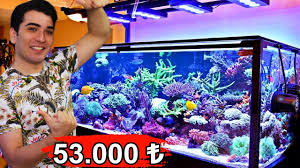 53 000 Deniz Akvaryumu Satin Aldim Youtube