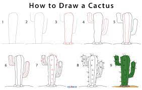 Cactus is a great example of a home flower that pleases the whole year. How To Draw A Cactus Easy Step By Step Learn How To Draw
