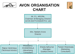 45 Credible Organization Chart Of Avon Company