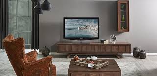 Tv Uniteleri Dogtas