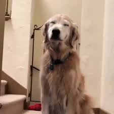 A Cute Smile Keepgif
