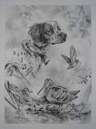 Epagneul Breton Et Becasse Par Dominique Pizon Dessin Chasse Chien Coloriage Dessin De Chien