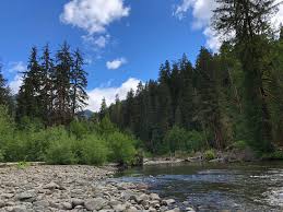 Check spelling or type a new query. The 10 Best Olympic National Park Camping Of 2021 With Prices Tripadvisor