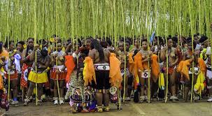 This tradition was instituted by the zulu king in 19. Zulu Reed Dance 2019 Mkhosi Womhlanga Enyokeni Palace Zululandnews