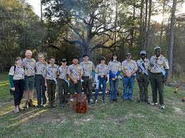 Image result for Golden Yellow 1986 Three Rivers District Council