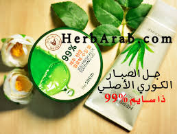 The curry leaf is a common dark green indian. Ø¬Ù„ Ø§Ù„ØµØ¨Ø§Ø± Ø§Ù„ÙƒÙˆØ±ÙŠ Ø§Ù„Ø§ØµÙ„ÙŠ ÙˆØ§Ù„ØªÙ‚Ù„ÙŠØ¯ ÙˆØªØ¬Ø±Ø¨ØªÙŠ Ù…Ø¹Ù‡ Ù„Ù„Ø¨Ø´Ø±Ø© ØªØ¬Ø§Ø±Ø¨ Ø§ÙŠ Ù‡ÙŠØ±Ø¨