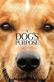 English movies on all streaming providers. Streaming Online A Dog S Purpose 2017 Online Free Hd Movie Pyoronmaan Kyla