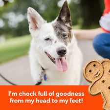 Buddy Biscuits Oven Baked Grain Free Crunchy Treats For Dogs 28350 Amazon Co Uk Pet Supplies