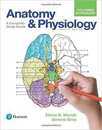 Anatomy And Physiology Coloring Workbook In 2020 Anatomy Coloring Book Coloring Books Human Anatomy And Physiology