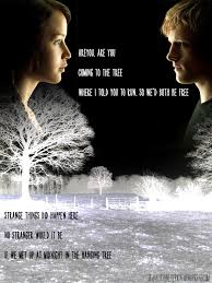 If We Met At Midnight In The Hanging Tree Lyrics The Hunger Games Another Wallpaper Attempt Hunger Games Wallpaper Hunger Games Hanging Tree Hunger Games