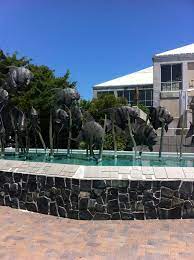 Nc Aquarium At Fort Fisher North Carolina Beaches Kure Beach Kure Beach Nc