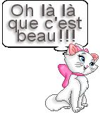 Résultat de recherche d'images pour "magnifique gif"