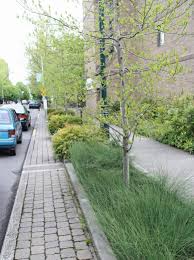 Green Streets Of Portland Oregon Landscape And Urbanism Green Street Streetscape Design