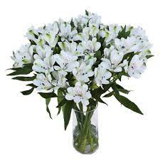 White Alstroemeria Fresh Flower Fiftyflowers Com Flower Arrangements Bunch Of Flowers Flowers