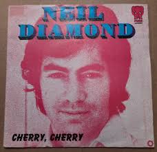 Neil Diamond
