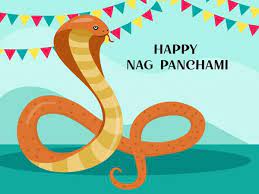 Many people bring an idol of snake made with silver, wood, clay etc. Tbjgd7nwadbspm